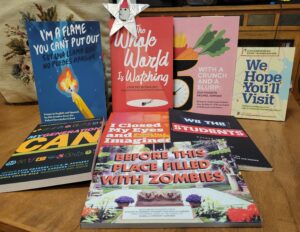 A collection of some of the books featured in the 826 Boston Holiday Gift Guide. A silver star with a white cat with a Santa hat above the books.